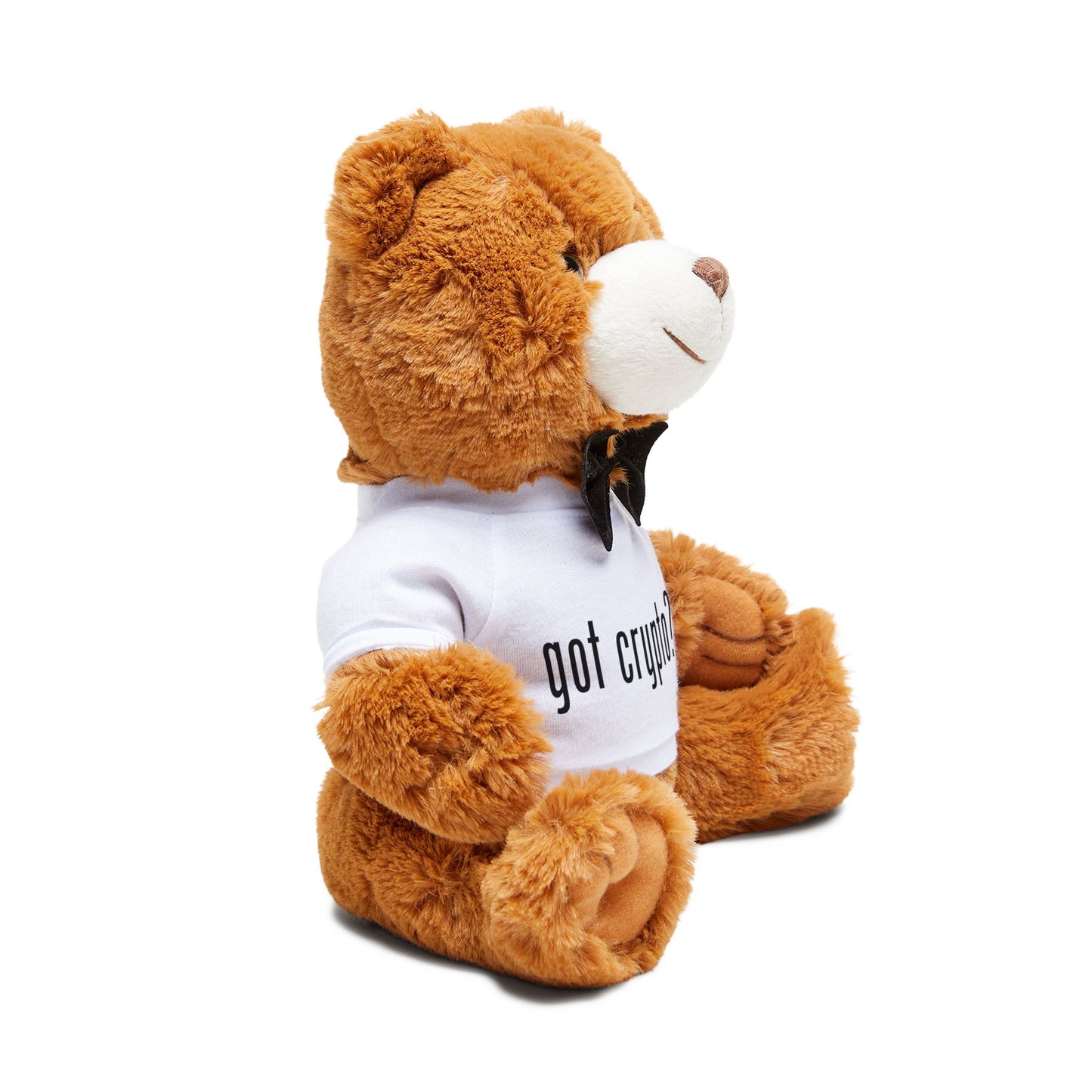 Got Crypto Teddy Bear with Tie T-Shirt